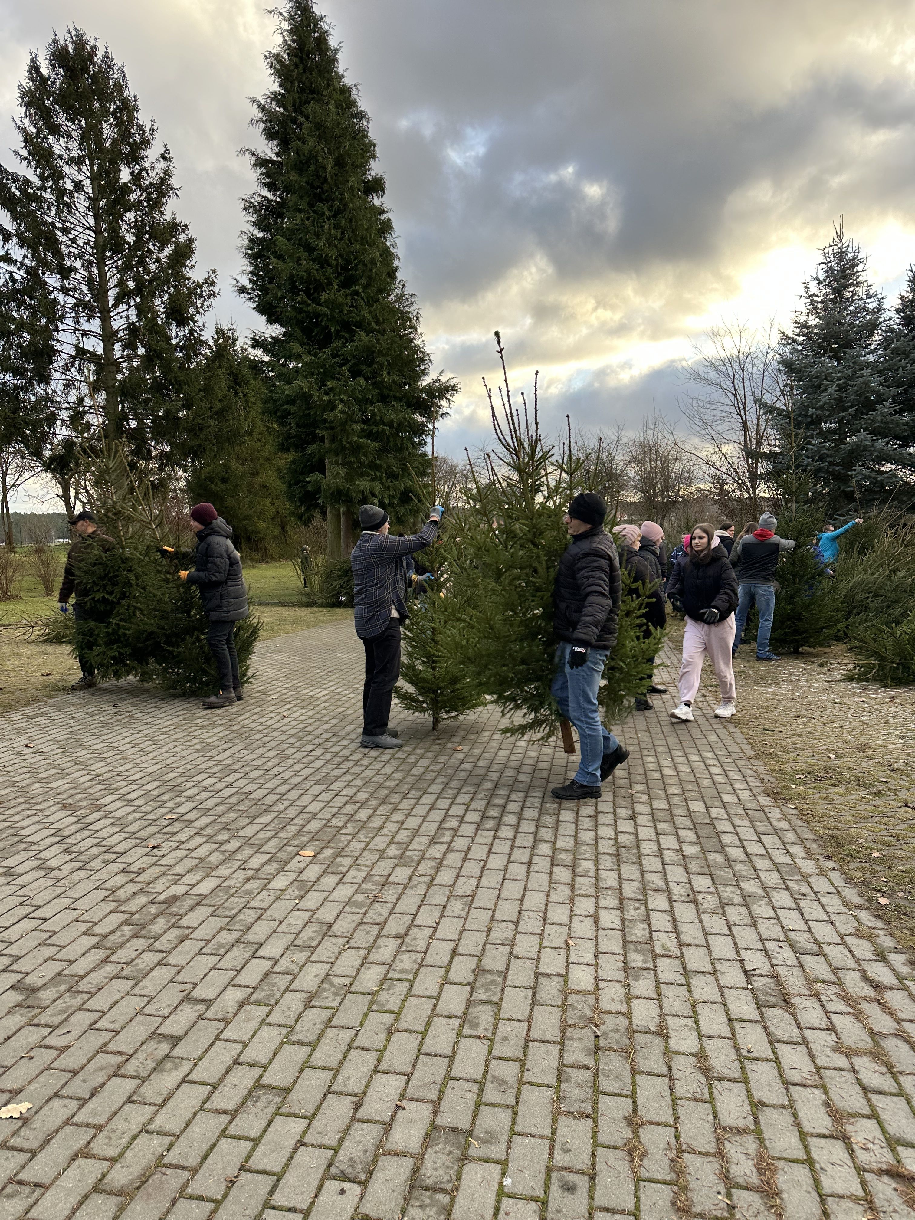 IMG_6963.jpeg