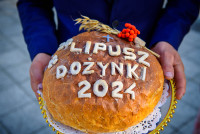 Powiększ zdjęcie