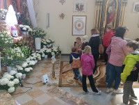 Powiększ zdjęcie