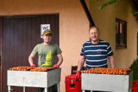 Powiększ zdjęcie