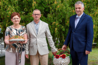 Powiększ zdjęcie