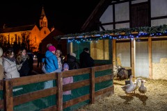 Pasterka-2025-WEB-87